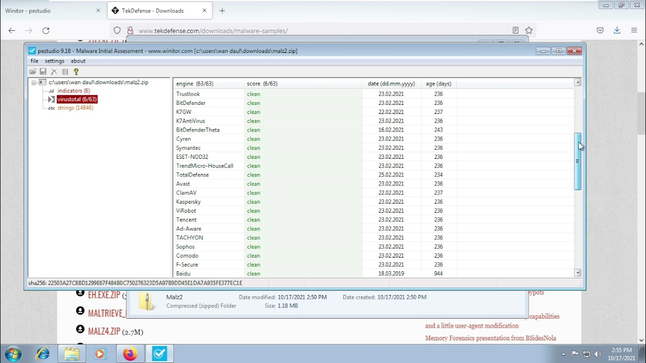 PeStudio 9.18 Installation and Practice for Malware Analysis