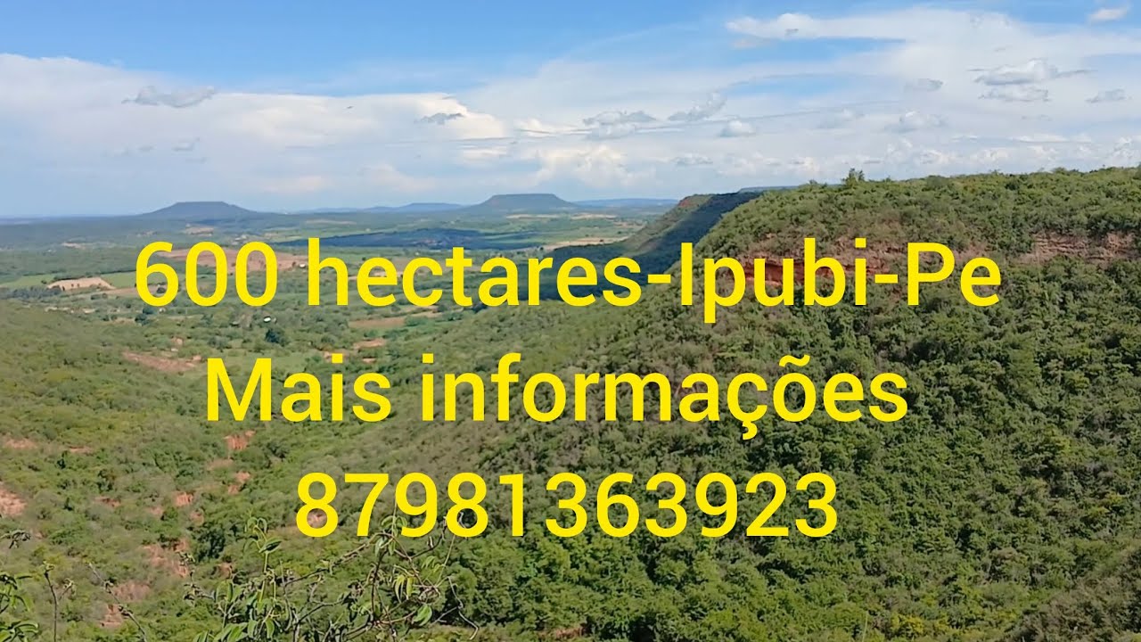Esse é primeira e tem escritura. 