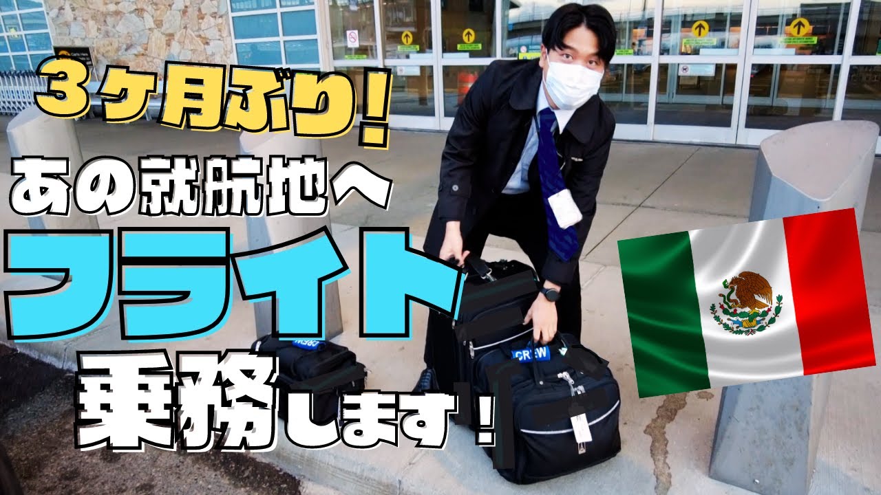 久しぶりのフライト先は人気の就航地！外資系男性CA