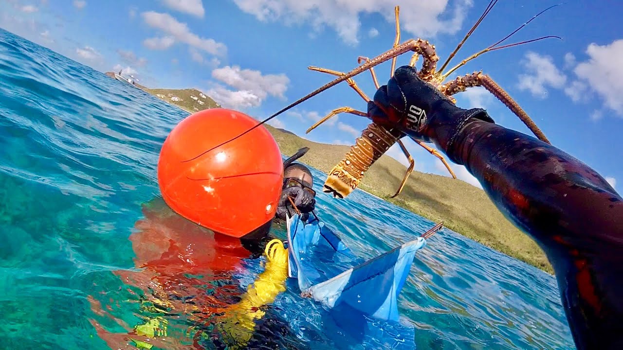 Lobster Hunting at St. John 🌴USVI