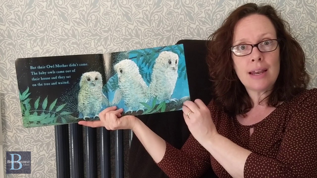 Owl Babies - Martin Waddell