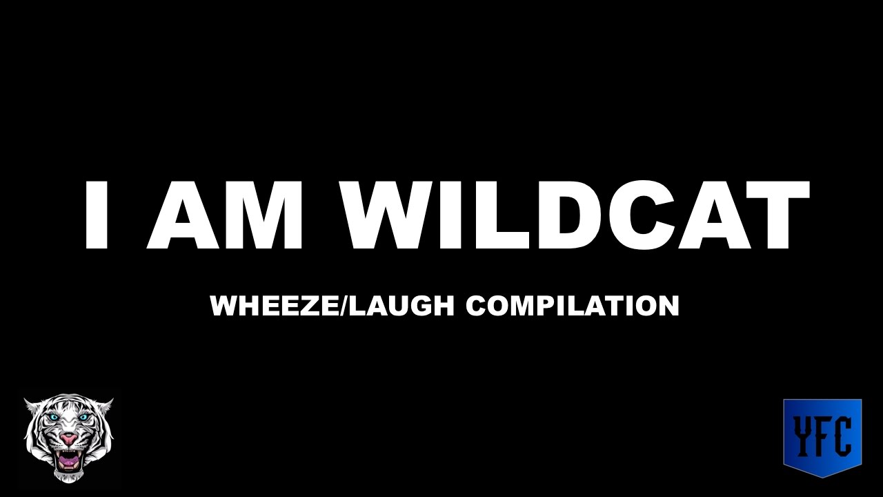 I AM WILDCAT Laughing/Wheezing Compilation - Best of I AM WILDCAT