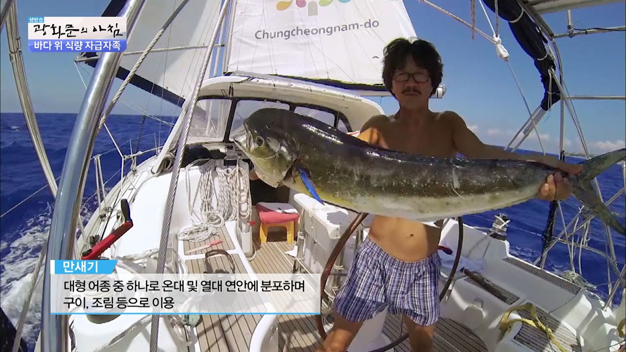 요트 위에서 요리를 해 먹는 그 맛은?! [광화문의 아침] 309회 20160902