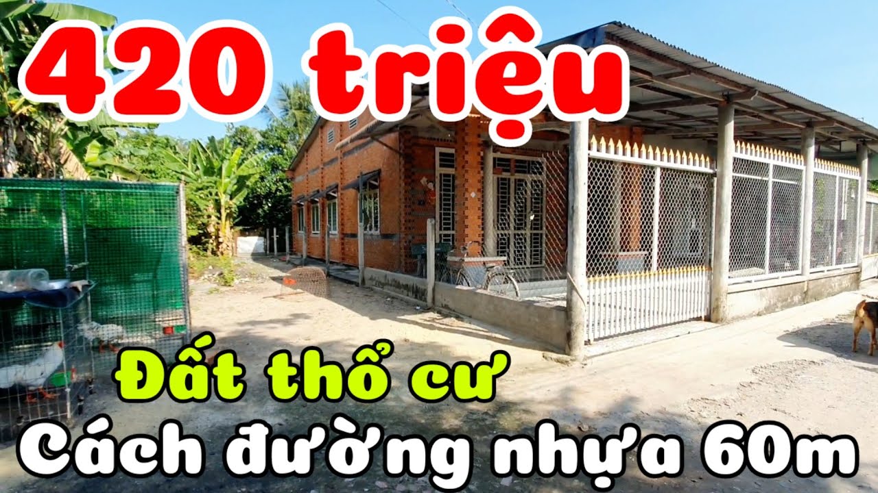 Bán đất 6x25 cách đường nhựa 60m, QL22B 400m, Chợ trường học 500m giá 420 triệu ở Thạnh Đức Tây Ninh