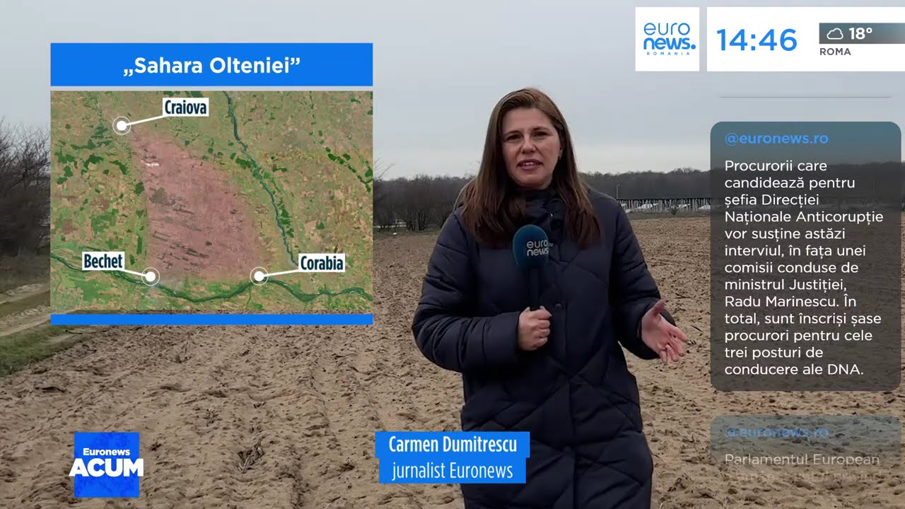 „Sahara Olteniei”. Cum vor autoritățile să lupte cu deșertificarea din sudul Olteniei