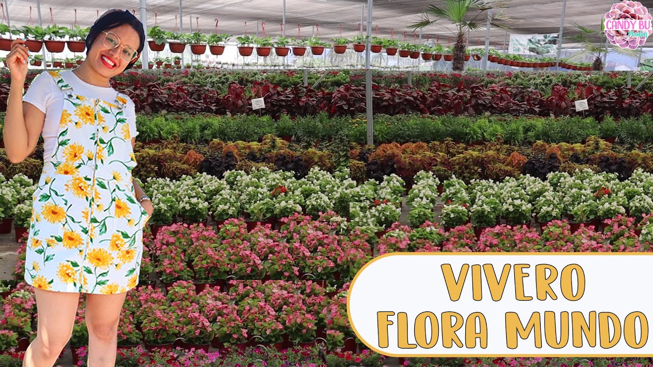 Tour por el vivero más grande de MÉXICO ¡Enloqueciendo de lo lindo! │Candy Bu