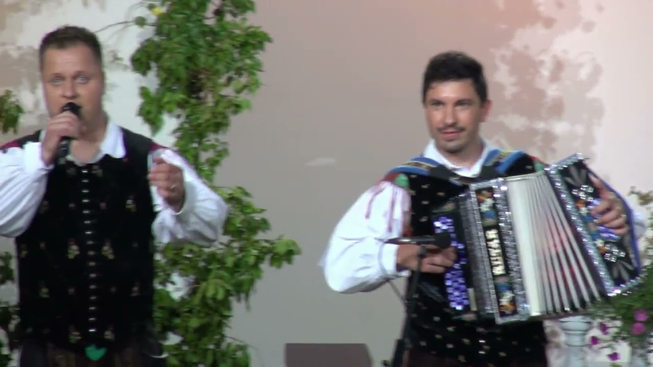 Ansambel TIK-TAK - Poštar (v živo)