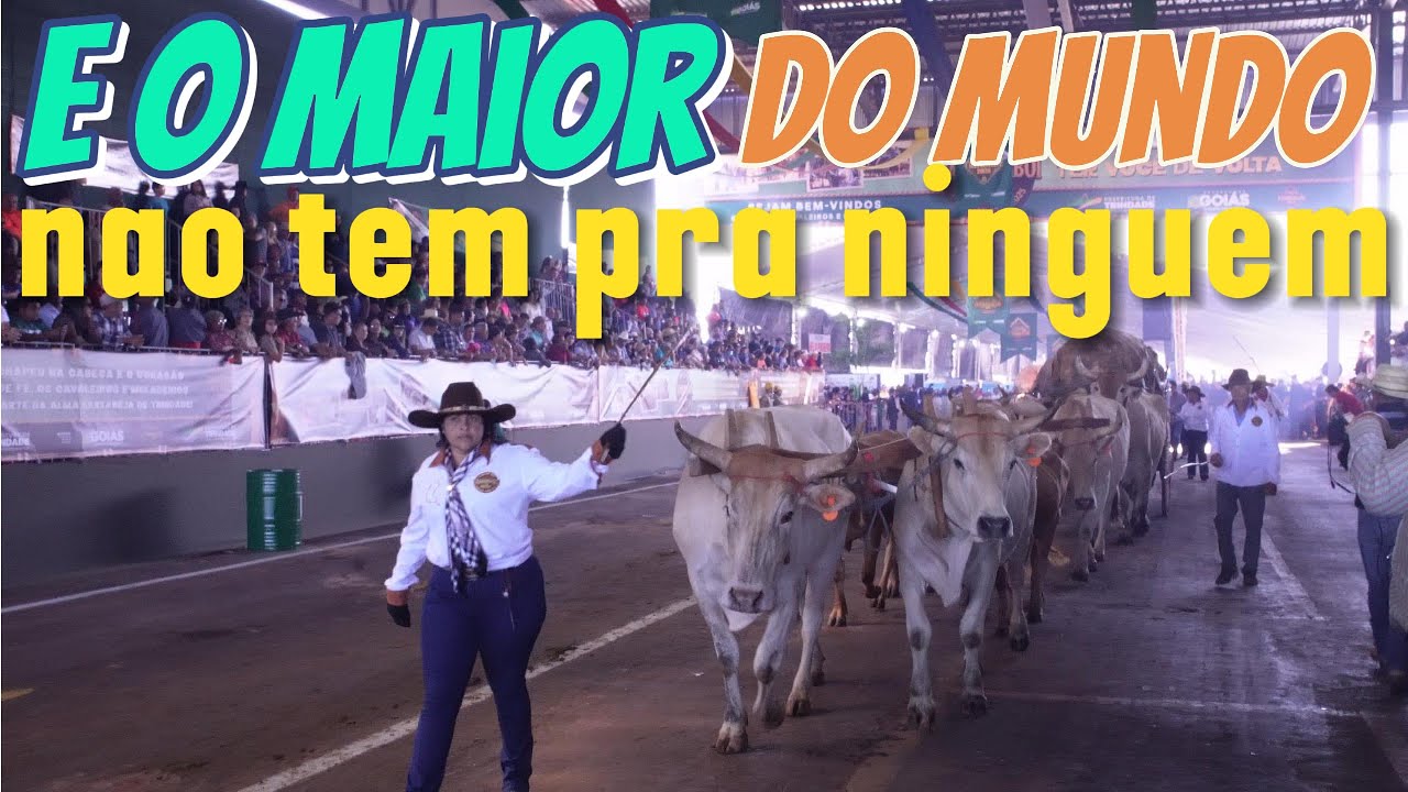 Desfile de carro de boi romaria divino pai eterne  2025