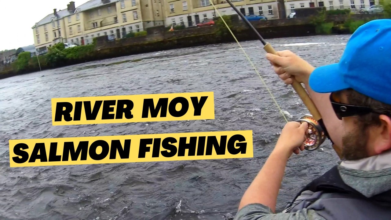 Meeting Salmon On the River Moy - Early June 2024