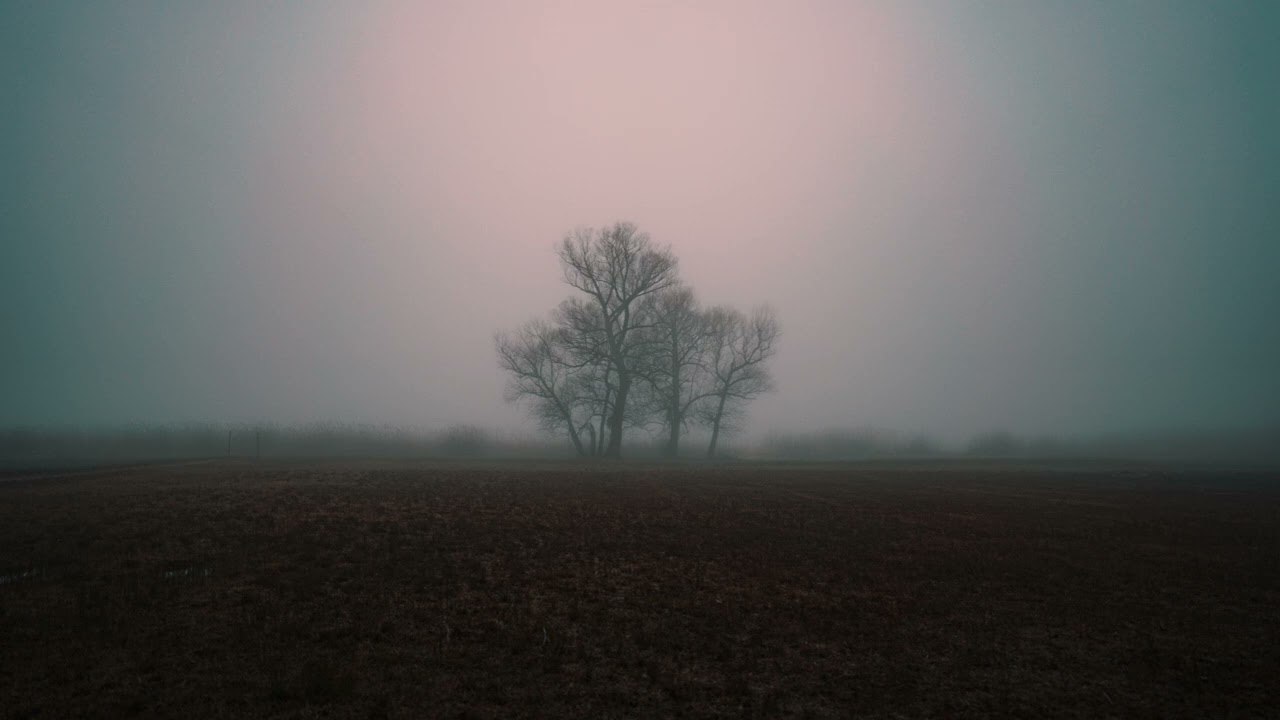 One moment in time