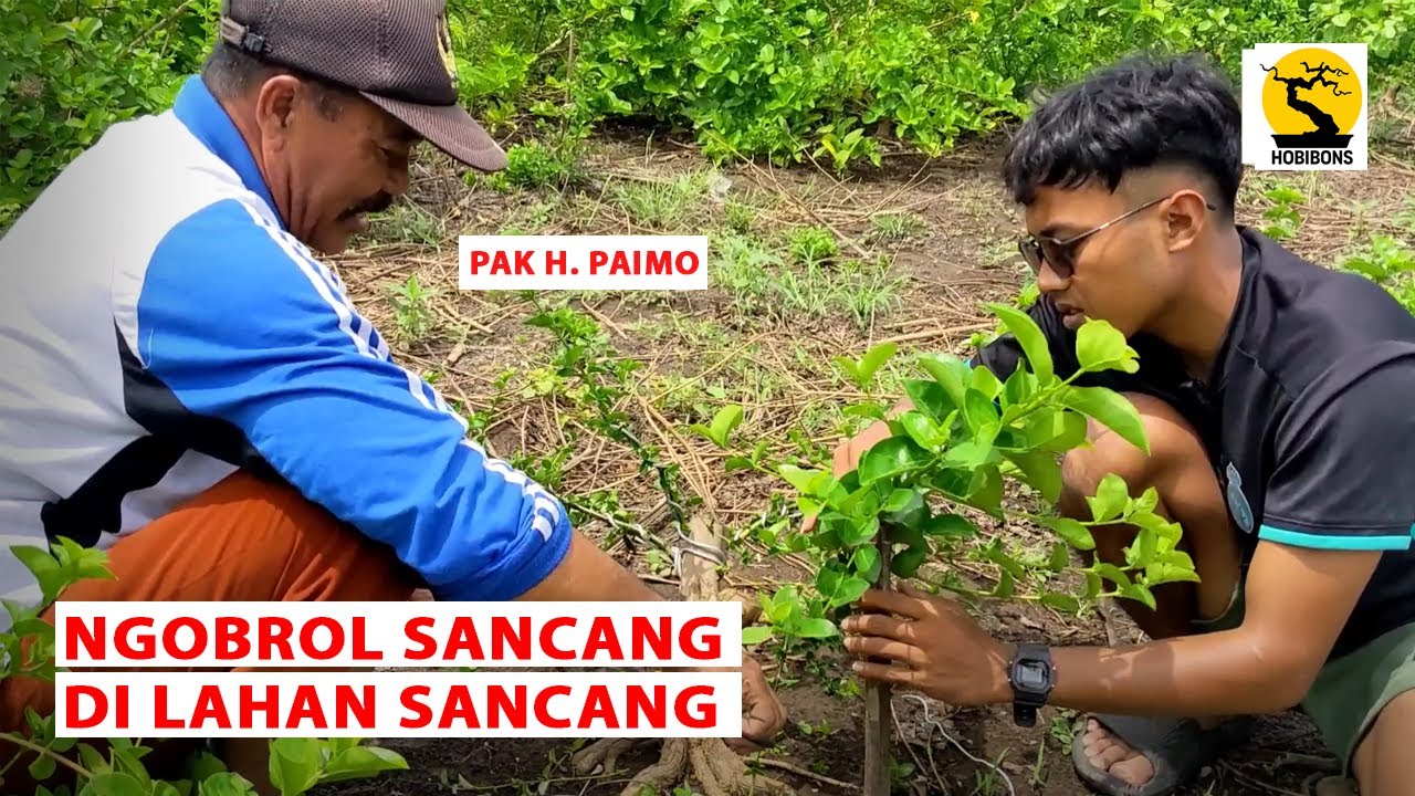2024 PETANI SANCANG HARUS BERANI ADU KUALITAS