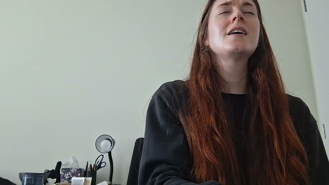 One day the only Butterflies- Amy Lee & BMTH (Cover)