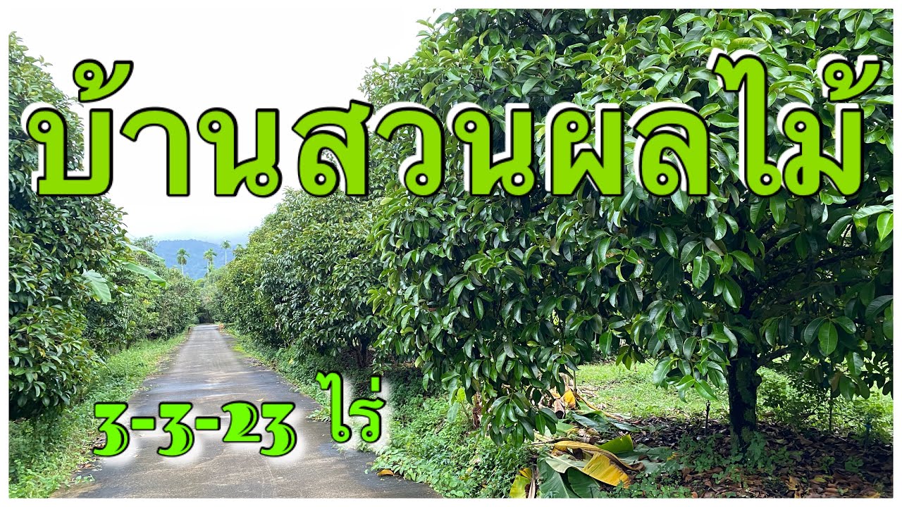 LDC-00138 #ขายบ้านสวน #สวนผลไม้ 3 ไร่กว่า ให้ผลแล้ว100 กว่าต้นใกล้ชุมชน ต.พลิ้ว อ.แหลมสิงห์ จันทบุรี