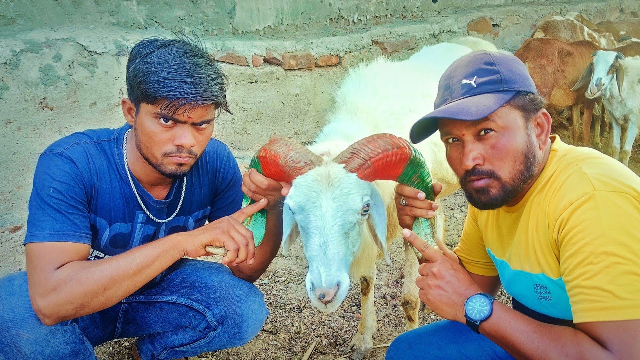 ನೀ ಹಂಗ್ ನಾ ಹಿಂಗ್ | Shankar Ambiger Jamkhandi | Uttarkarnataka | Comedy Video |