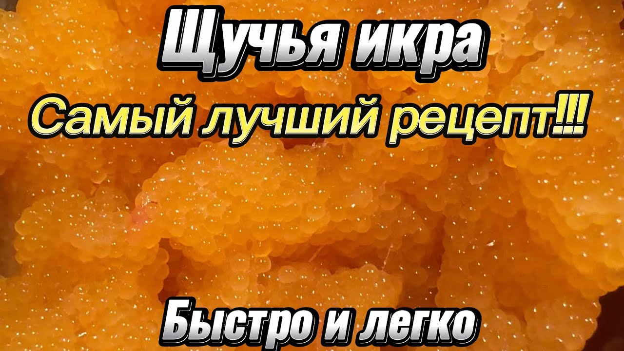 КАК ЗАСОЛИТЬ ЩУЧЬЮ ИКРУ за 5 минут? Простой рецепт. Это нереально вкусно! Попробуй! Ты сможешь!