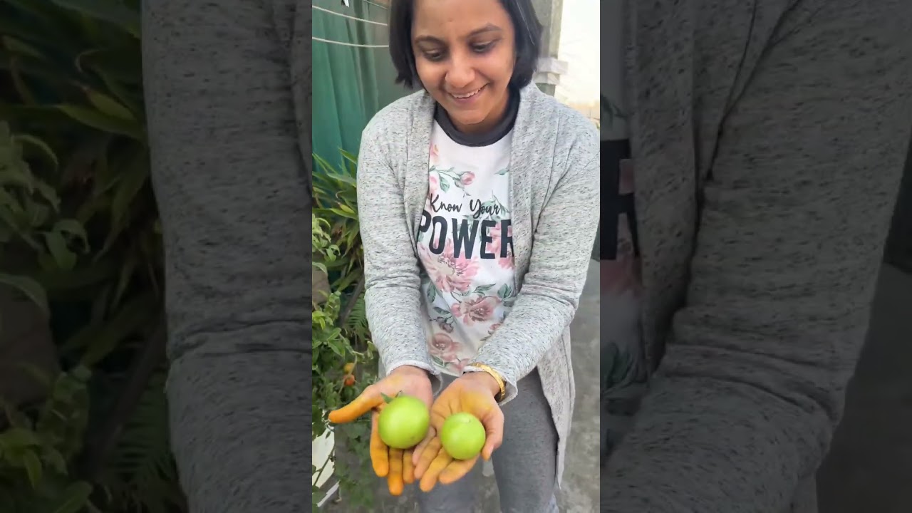 आज मैंने बनाई हल्दी की सब्ज़ी