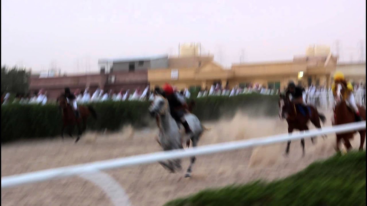 فروسية كبد ختام الموسم بتاريخ 1\6\2013