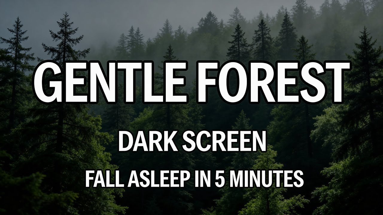 Pure Forest Ambience | 10 Hours of Uninterrupted Sleep