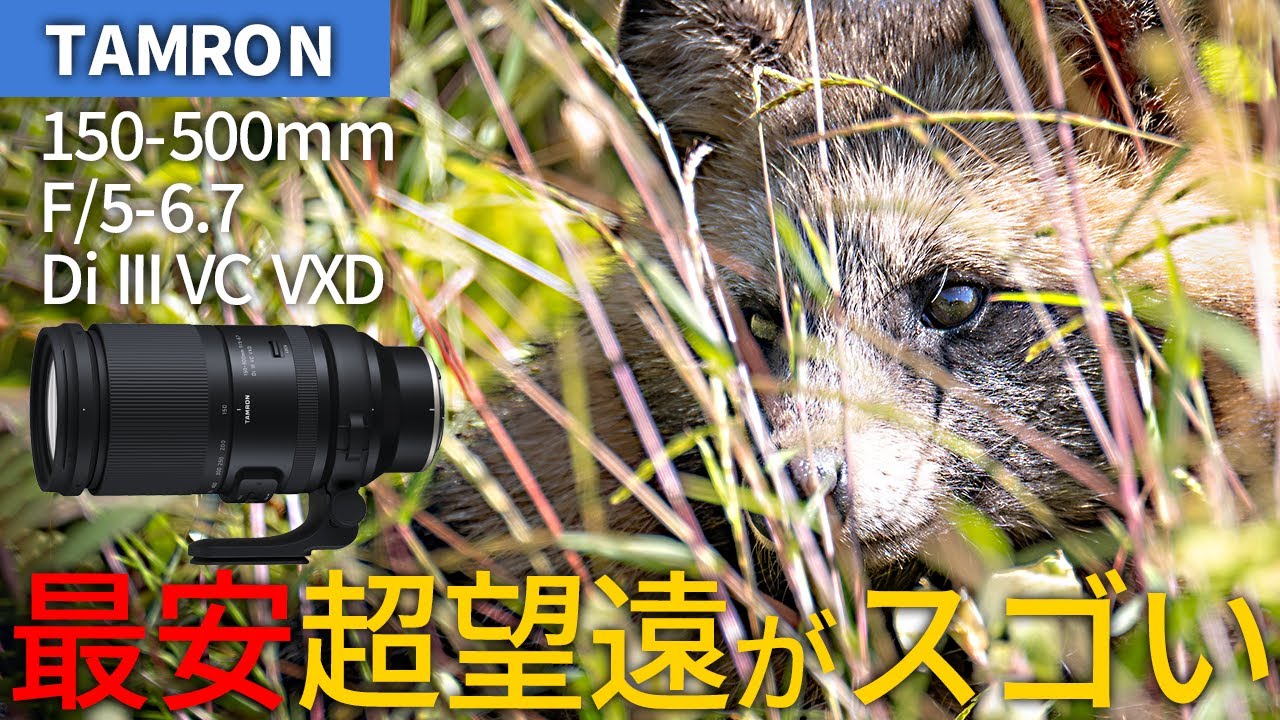 最安超望遠レンズがすごすぎる 150-500mm F/5-6.7 Di III VC VXD (Model A057) ニコン Z マウント用