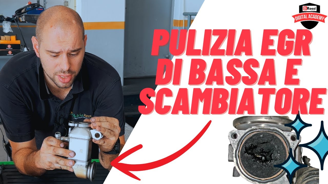 PERCHE' FARE MANUTENZIONE E PULIZIA DEL SCAMBIATORE EGR BASSA PRESSIONE ? FORD FOCUS P2000 P2002