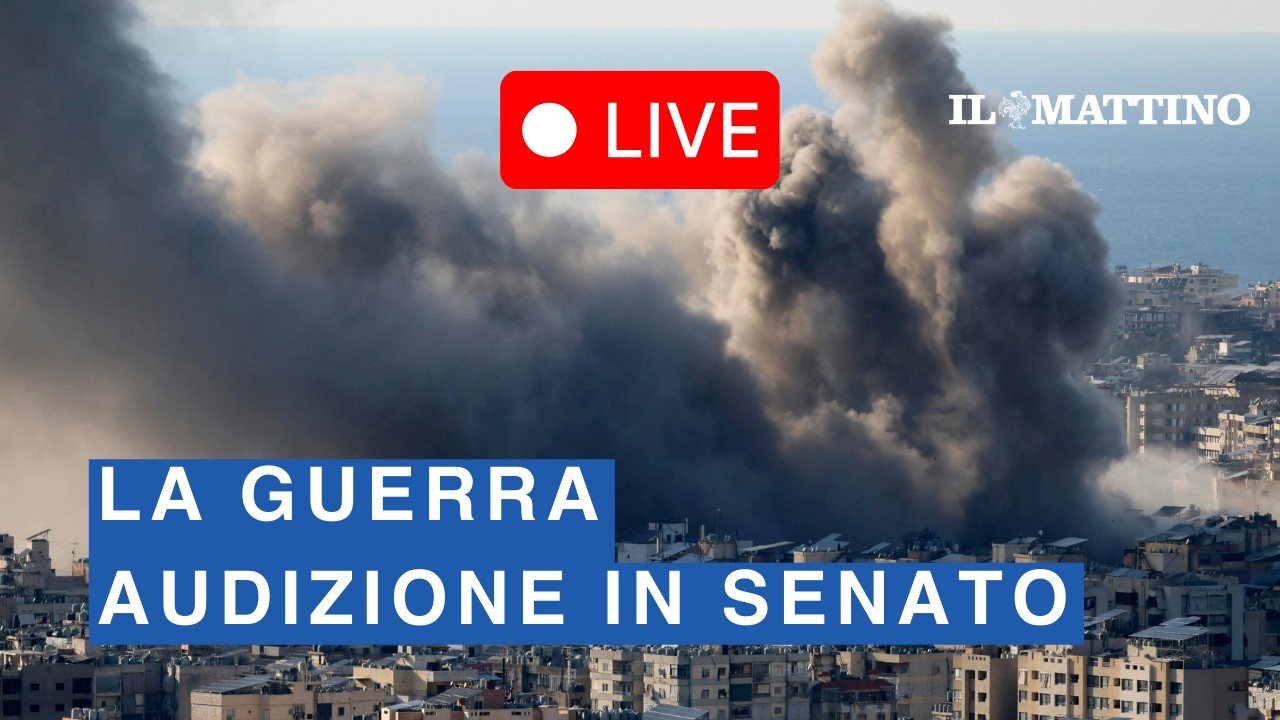 La situazione in Iran e nel Golfo Persico: la diretta dell'Audizione in Senato