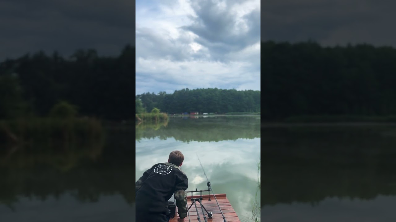 Łowisko Gajdowe #carp #amur #karp #carpfishing #fishing