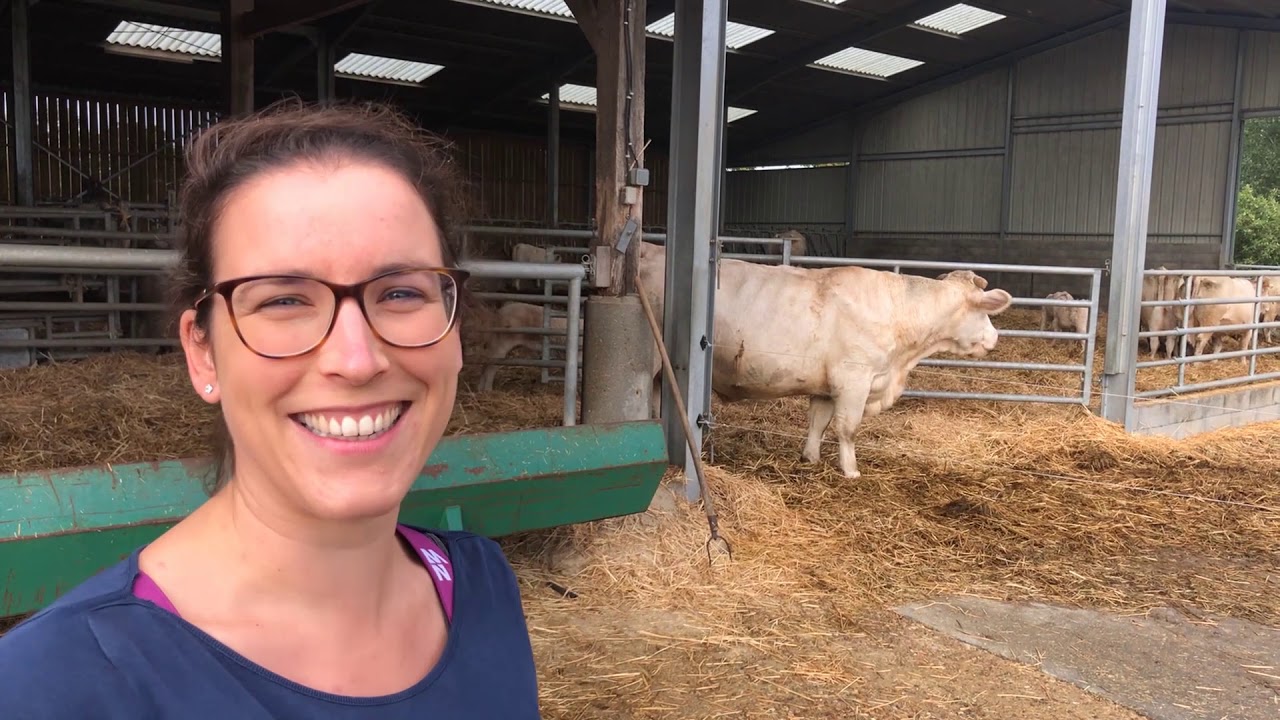 Rencontre avec Stéphanie Toutain Touchet agricultrice en Sarthe