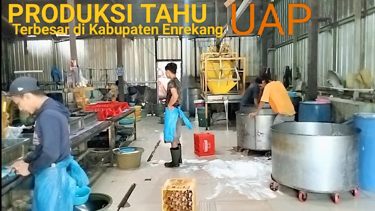 Proses produksi tahu || pabrik tahu terbesar di kabupaten Enrekang Sulsel | Pabrik tahu restu
