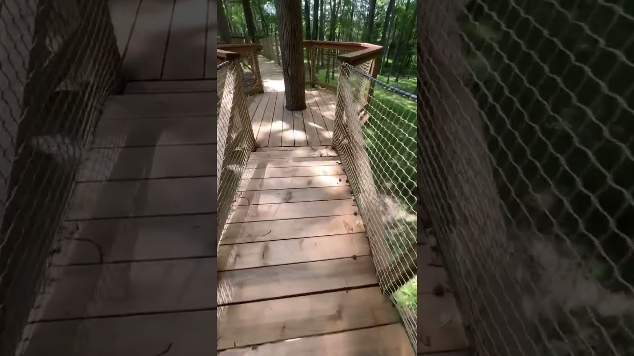 Sneak peek of observation tower with US's longest stainless-steel slide