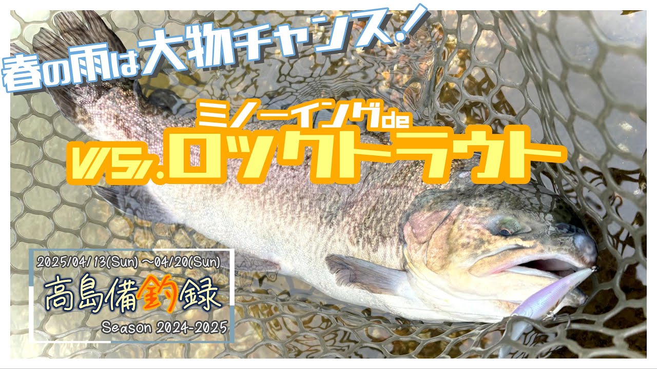 春の大物チャレンジ！ VS.ロックトラウト  in 高島の泉 【エリアミノーイング】
