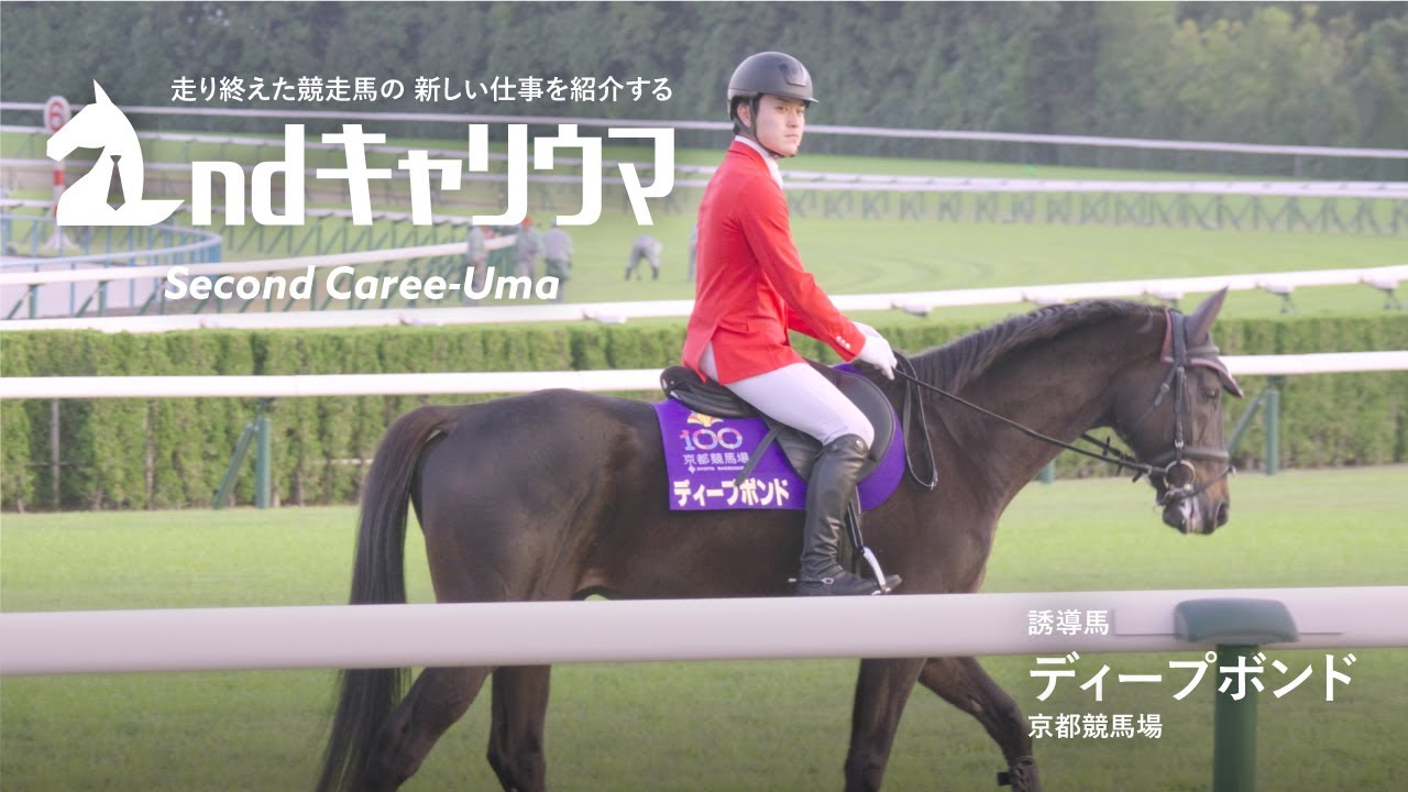 【セカンドキャリウマ】　誘導馬・ディープボンド編