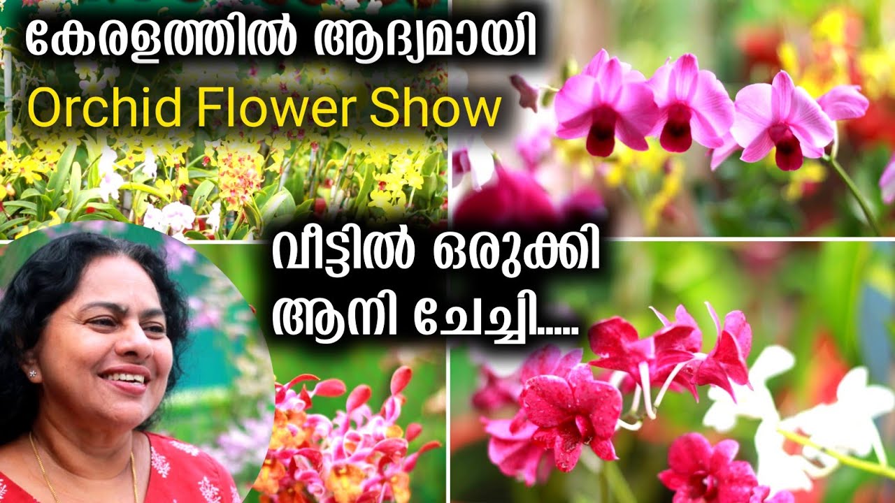 കേരളത്തിൽ ആദ്യമായി വീട്ടുമുറ്റത്ത് ഓർക്കിഡ് ഫ്ലവർ ഷോ ഒരുക്കി ആനി ചേച്ചി | ORCHID FLOWER SHOW/GARDEN