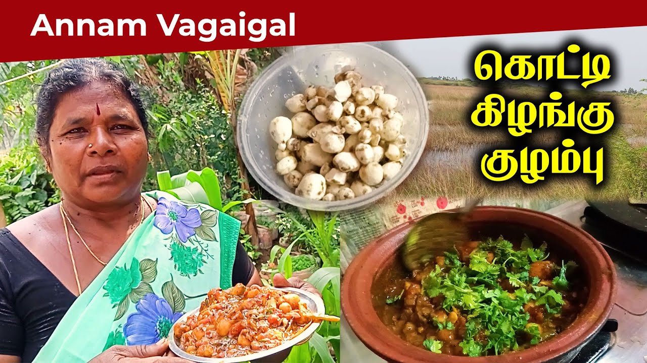 கிராமத்து ஏரியில் பிடுங்கி செய்த கொட்டி கிழங்கு குழம்பு | Kotty kizhangu Recipe | Annam Vagaigal