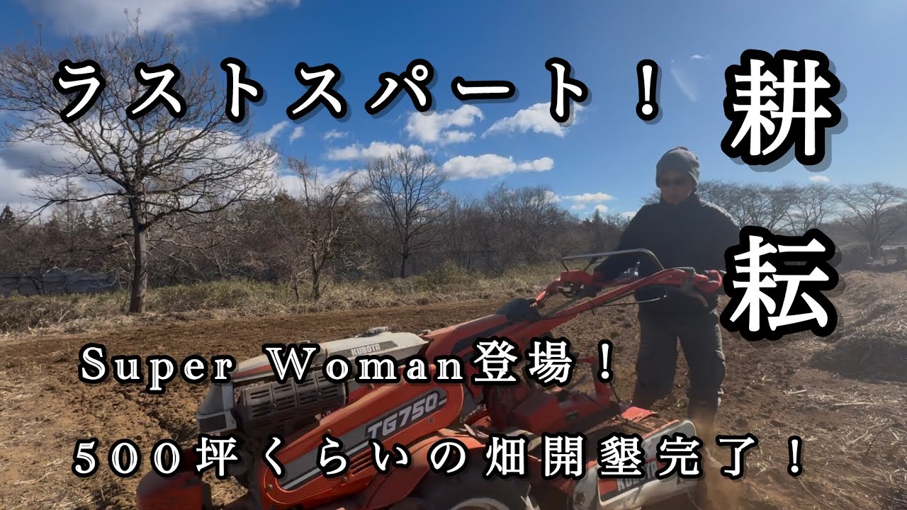 ラストスパート！500坪くらいの畑開墾完了！super woman登場！