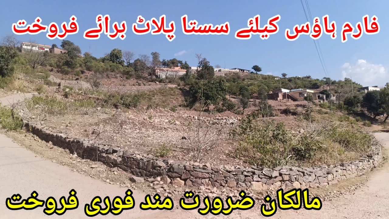 cheap sasti land for sale in Islamabad | farm House plot for sale in karlot residential college