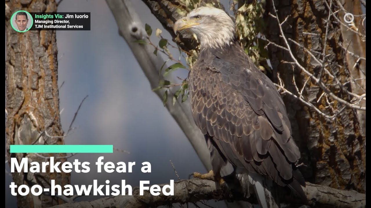 Is the Fed on the Verge of a Policy Error?