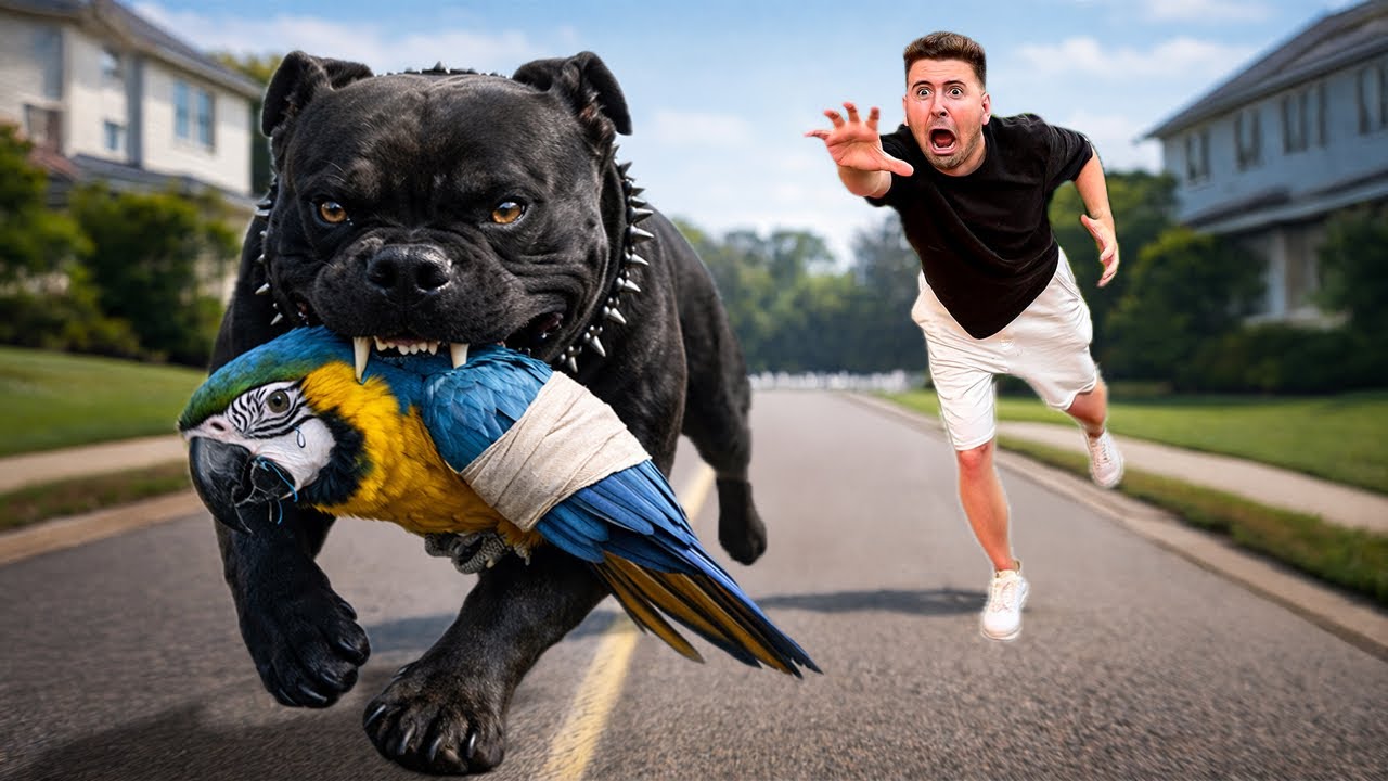 O CACHORRO DA DARK WEB PEGOU O MEU PASSARINHO MACHUCADO! *ADEUS