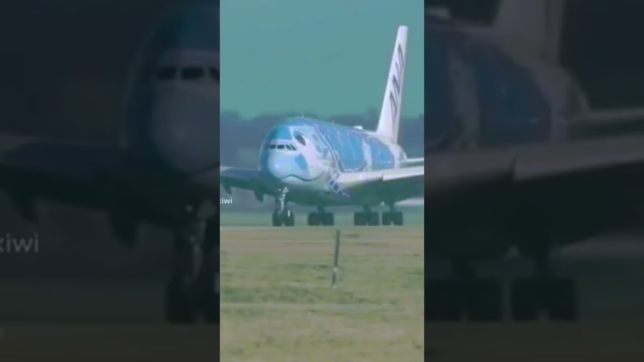 Korean angel the ANA AIRLINES REVIEW AVIATION