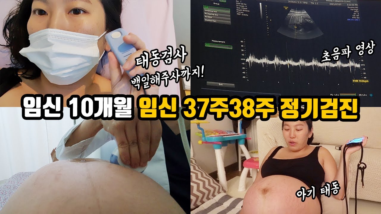 임신 10개월 | 임신 37주 38주 임산부 브이로그 | 초음파 영상 | 태아 모습 | 태동검사 | 백일해주사