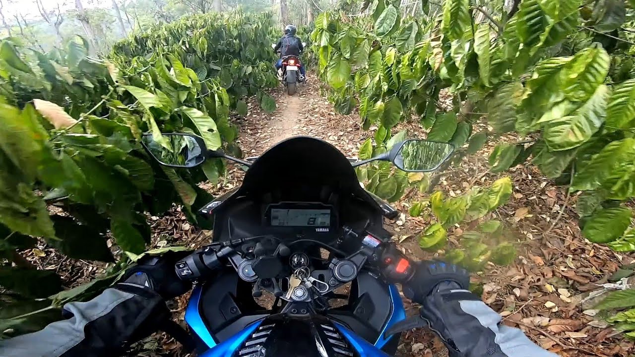 R15 V3 can do Offroading ? Camping in a jungle | Ride to Coorg #MysticTrails