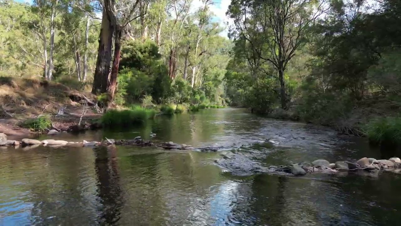 Howqua River in 4K - Sheepyard Flat, Victoria - 9 Feb 2023