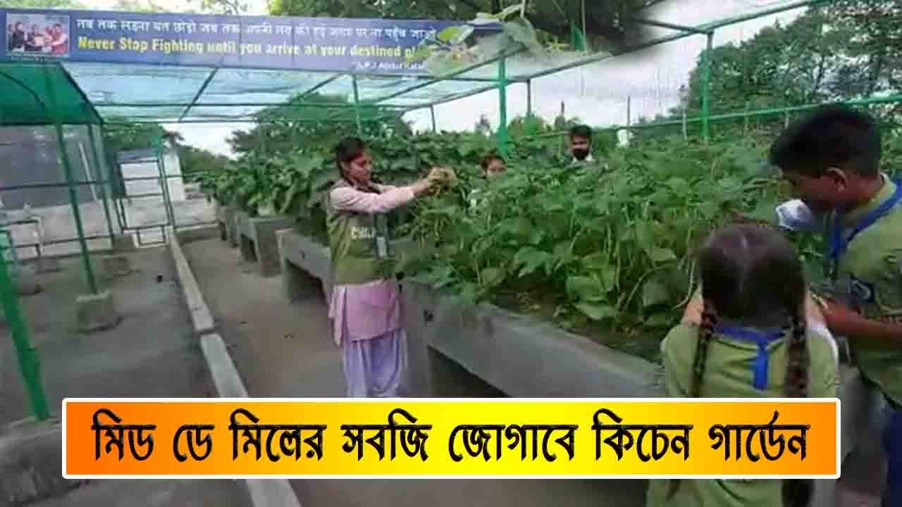 মিড মে মিলের সবজি জোগাবে কিচেন গার্ডেন/kitchen garden will provide vegetables for the mid-May meal