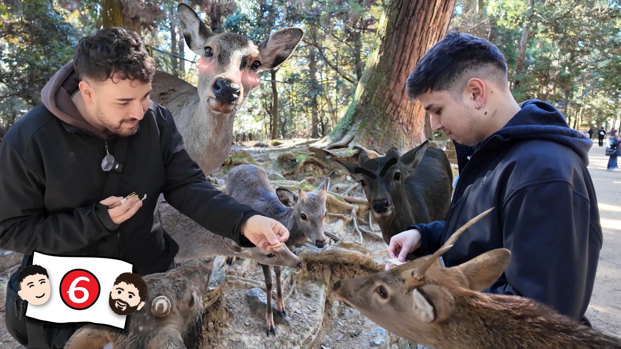 Nos ATACAN los ciervos en Nara ¡Hacen REVERENCIAS! 🦌😅 | Vlog 6 Japón 🇯🇵