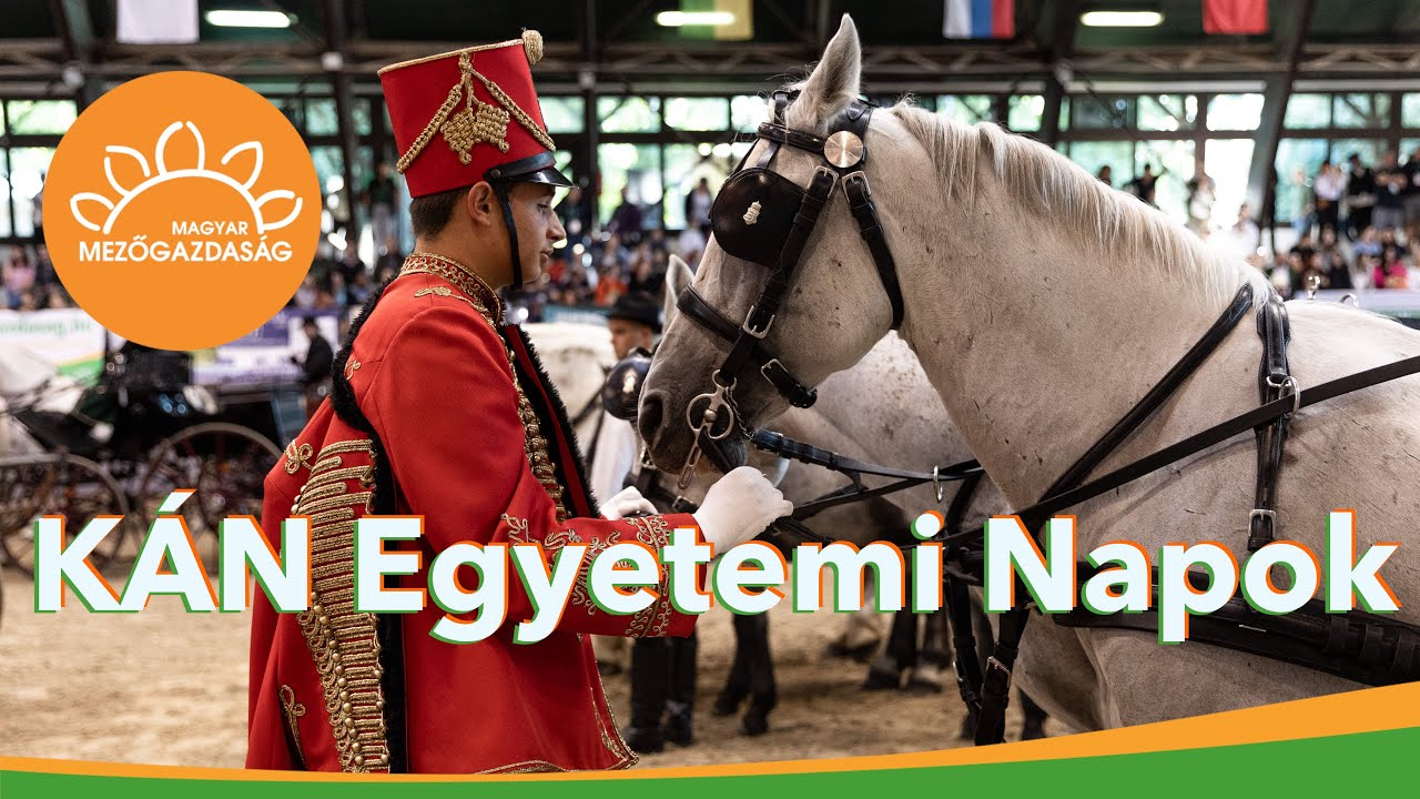 Megny&iacute;lt a K&Aacute;N Egyetemi Napok | &bdquo;Ez nem munka, ez nem hivat&aacute;s, ez az &eacute;let&uuml;nk&rdquo; | MMG
