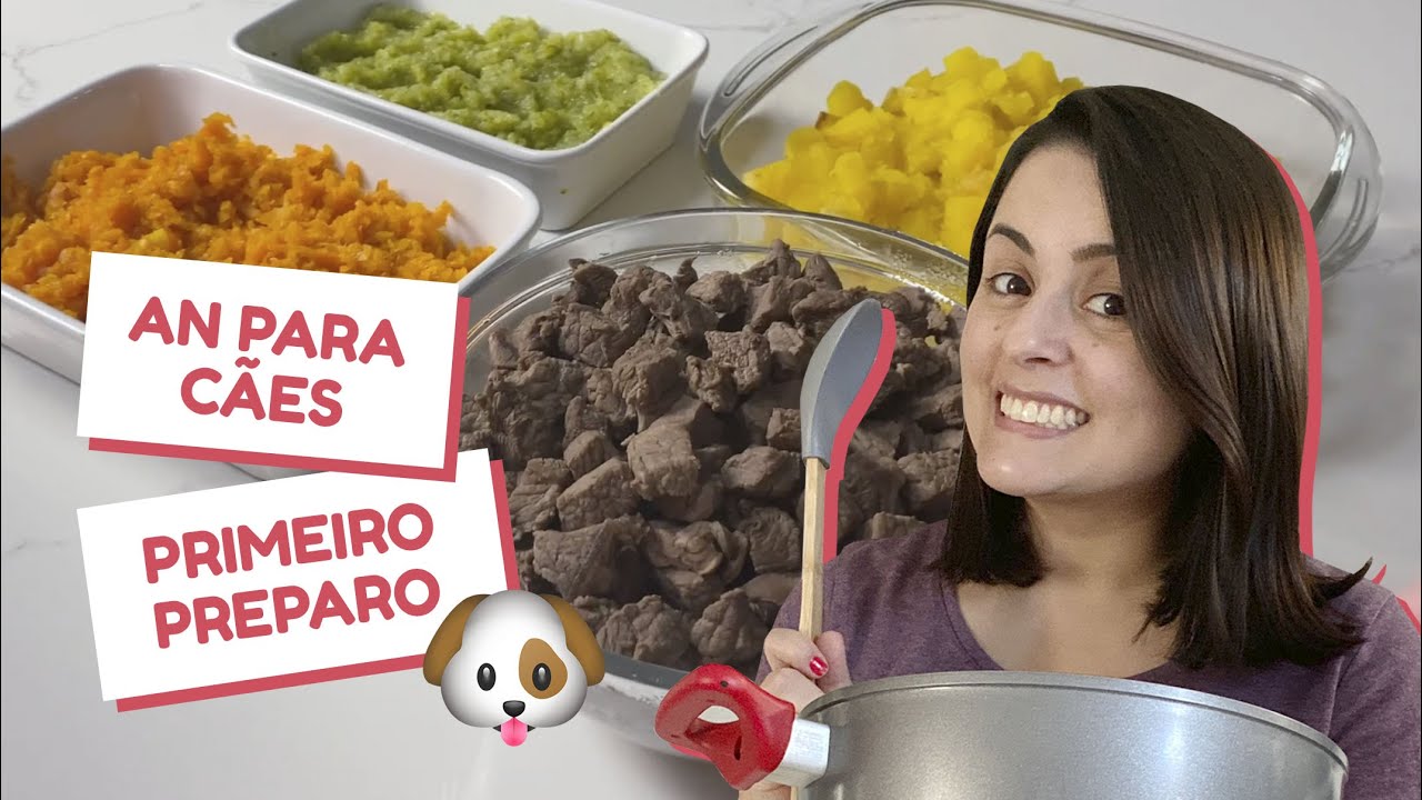 ALIMENTAÇÃO NATURAL PARA CÃES, os desafios de cozinhar pela primeira vez