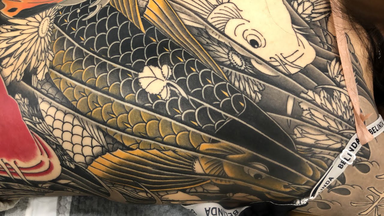 등 잉어 이레즈미 컬러|JAPANESE KOI TATTOO COLOR|
