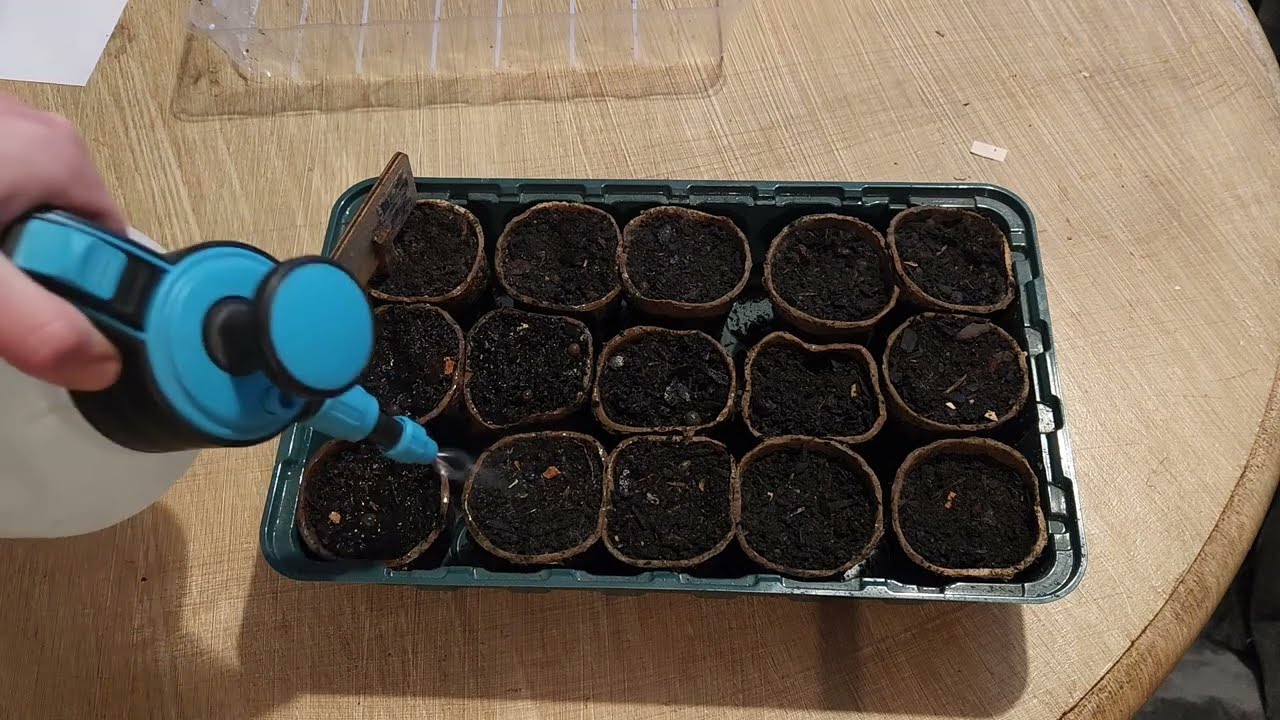 Février au potager : préparer le printemps sans faire d’erreurs