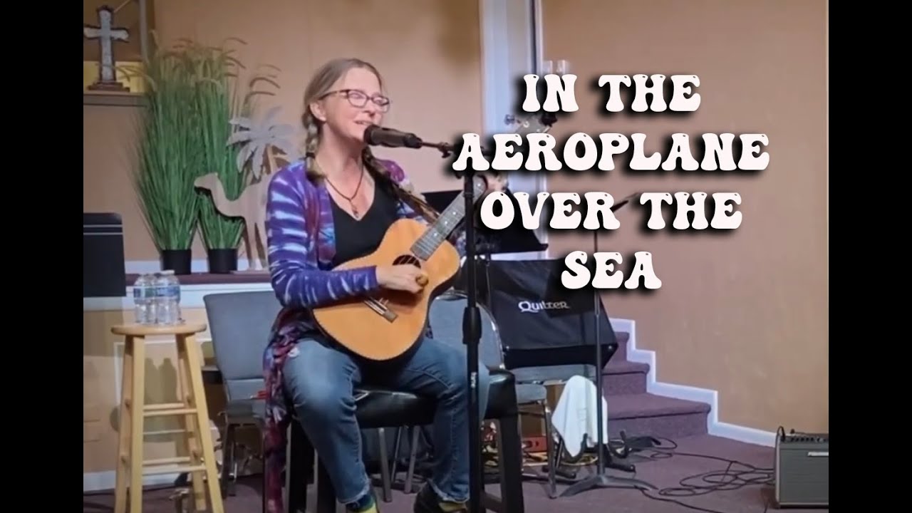 In the Aeroplane Over the Sea - played on baritone ukulele