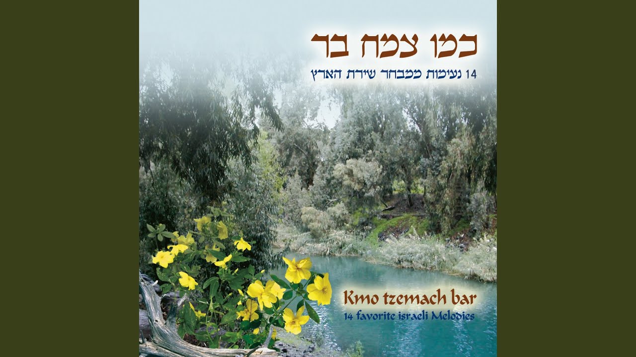 אני נושא עימי