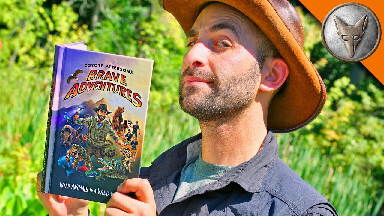 SNEAK PEEK! Brave Adventures Book!